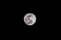 Super Wolf Blood Moon 01.20.2019