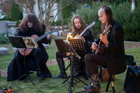 Musicians