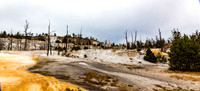 Norris Geyser Basin