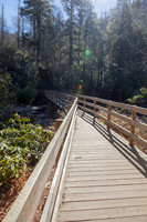 Chimney's Trail 11.21.2016