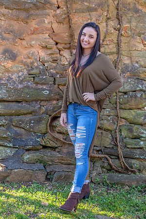 Chimney Background